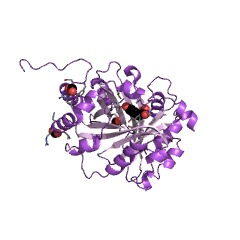 Example Structure of 4-hydroxyphenylpyruvate 3-dimethylallyltransferase EC#: 2.5.1.111