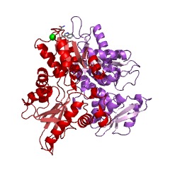Example Structure of [CysO sulfur-carrier protein]-thiocarboxylate-dependent cysteine synthase EC#: 2.5.1.113