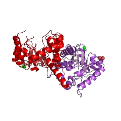 Example Structure of dihydropteroate synthase EC#: 2.5.1.15