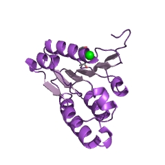 Example Structure of cob(I)yrinic acid a,c-diamide adenosyltransferase EC#: 2.5.1.17