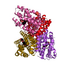 Example Structure of thiamine pyridinylase EC#: 2.5.1.2