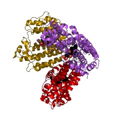Example Structure of squalene synthase EC#: 2.5.1.21