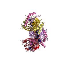 Example Structure of spermine synthase EC#: 2.5.1.22