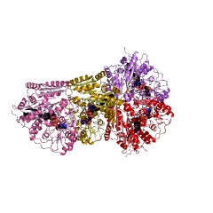 Example Structure of alkylglycerone-phosphate synthase EC#: 2.5.1.26