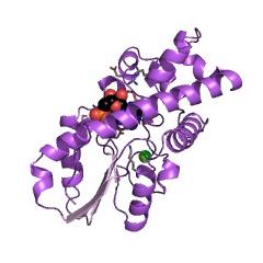 Example Structure of adenylate dimethylallyltransferase EC#: 2.5.1.27