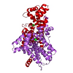 Example Structure of geranylgeranyl diphosphate synthase EC#: 2.5.1.29