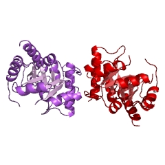 Example Structure of thiamine phosphate synthase EC#: 2.5.1.3