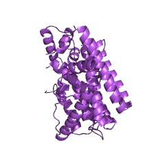 Example Structure of heptaprenyl diphosphate synthase EC#: 2.5.1.30