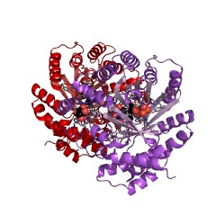 Example Structure of 4-dimethylallyltryptophan synthase EC#: 2.5.1.34
