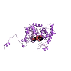Example Structure of deoxyhypusine synthase EC#: 2.5.1.46