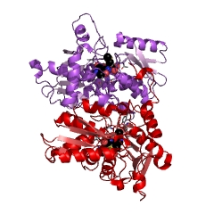 Example Structure of cysteine synthase EC#: 2.5.1.47