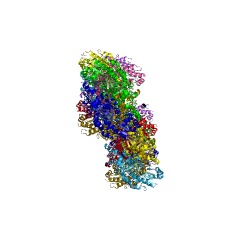 Example Structure of O-acetylhomoserine aminocarboxypropyltransferase EC#: 2.5.1.49
