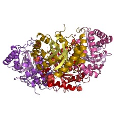 Example Structure of 3-deoxy-8-phosphooctulonate synthase EC#: 2.5.1.55
