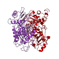 Example Structure of methionine adenosyltransferase EC#: 2.5.1.6