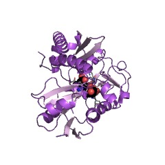 Example Structure of hydroxymethylbilane synthase EC#: 2.5.1.61