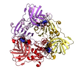 Example Structure of adenosyl-fluoride synthase EC#: 2.5.1.63