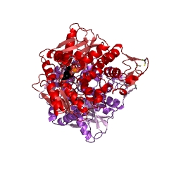 Example Structure of O-phosphoserine sulfhydrylase EC#: 2.5.1.65