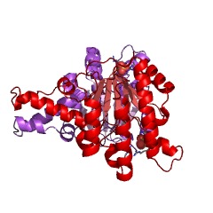 Example Structure of (2Z,6E)-farnesyl diphosphate synthase EC#: 2.5.1.68