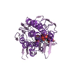 Example Structure of UDP-N-acetylglucosamine 1-carboxyvinyltransferase EC#: 2.5.1.7