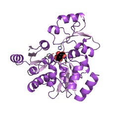 Example Structure of quinolinate synthase EC#: 2.5.1.72