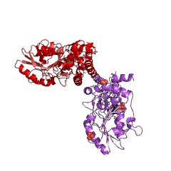 Example Structure of O-phospho-L-seryl-tRNA:Cys-tRNA synthase EC#: 2.5.1.73