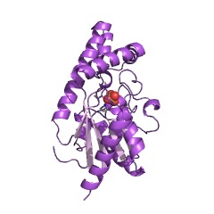 Example Structure of tRNA dimethylallyltransferase EC#: 2.5.1.75