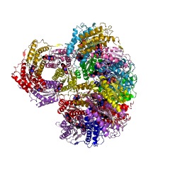 Example Structure of 6,7-dimethyl-8-ribityllumazine synthase EC#: 2.5.1.78