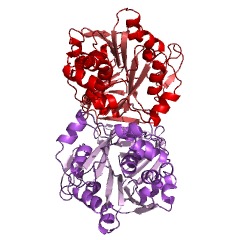 Example Structure of thermospermine synthase EC#: 2.5.1.79