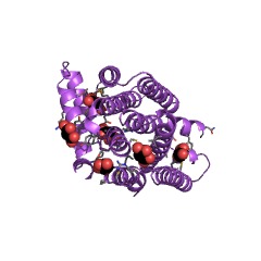 Example Structure of geranylfarnesyl diphosphate synthase EC#: 2.5.1.81