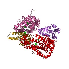 Example Structure of hexaprenyl diphosphate synthase [(2E,6E)-farnesyl-diphosphate specific] EC#: 2.5.1.83