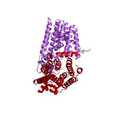 Example Structure of all-trans-nonaprenyl diphosphate synthase [geranylgeranyl-diphosphate specific] EC#: 2.5.1.85