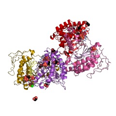 Example Structure of trans,polycis-decaprenyl diphosphate synthase EC#: 2.5.1.86