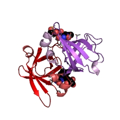 Example Structure of riboflavin synthase EC#: 2.5.1.9