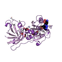 Example Structure of adenosyl-chloride synthase EC#: 2.5.1.94