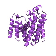 Example Structure of 4,4'-diapophytoene synthase EC#: 2.5.1.96