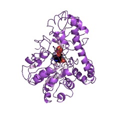 Example Structure of aspartate transaminase EC#: 2.6.1.1