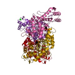 Example Structure of GDP-perosamine synthase EC#: 2.6.1.102