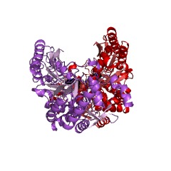 Example Structure of lysine-8-amino-7-oxononanoate transaminase EC#: 2.6.1.105