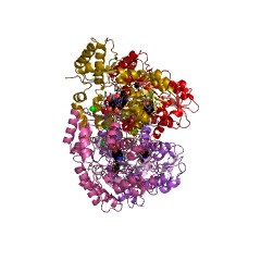 Example Structure of dTDP-3-amino-3,4,6-trideoxy-alpha-D-glucose transaminase EC#: 2.6.1.106