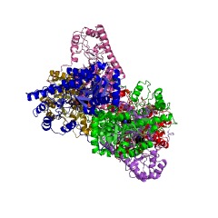 Example Structure of beta-methylphenylalanine transaminase EC#: 2.6.1.107