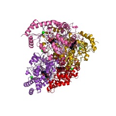 Example Structure of 8-amino-3,8-dideoxy-alpha-D-manno-octulosonate transaminase EC#: 2.6.1.109