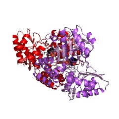 Example Structure of acetylornithine transaminase EC#: 2.6.1.11