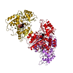 Example Structure of ornithine aminotransferase EC#: 2.6.1.13