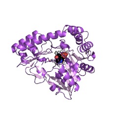 Example Structure of glutamine-pyruvate transaminase EC#: 2.6.1.15