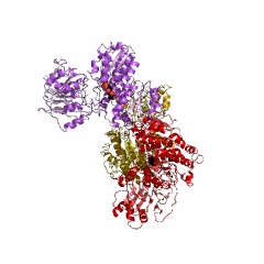 Example Structure of glutamine-fructose-6-phosphate transaminase (isomerizing) EC#: 2.6.1.16