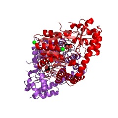 Example Structure of succinyldiaminopimelate transaminase EC#: 2.6.1.17