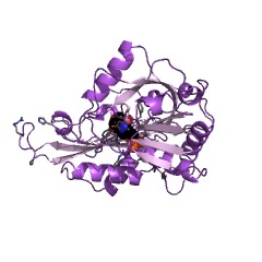 Example Structure of beta-alanine-pyruvate transaminase EC#: 2.6.1.18
