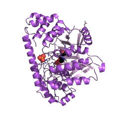 Example Structure of alanine transaminase EC#: 2.6.1.2