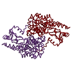 Example Structure of cysteine transaminase EC#: 2.6.1.3