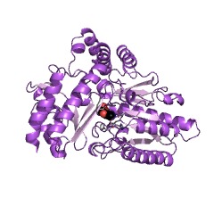 Example Structure of L-lysine 6-transaminase EC#: 2.6.1.36